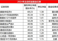 2024主动权益基金红黑榜：平均收益5.72%，多位老将马失前蹄|界面新闻